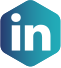 LinkedIn Logo