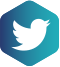 Twitter Logo